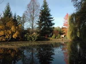 jardin-les-metamorphozes-1021_1